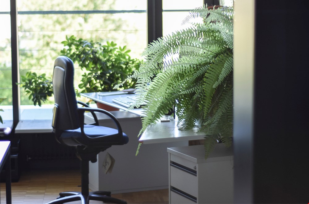 Lekker naar buiten kijken Lekker naar buiten kijken